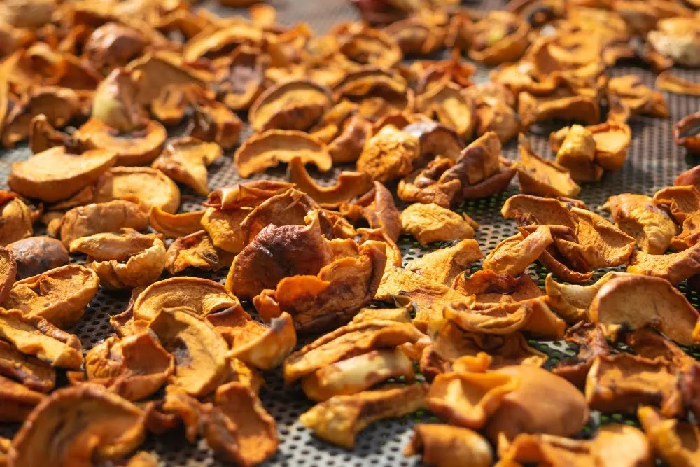 GLP para desidratação de frutas em escala industrial Close-up de frutas desidratadas fatiadas, com pedaços dourados e crocantes espalhados em uma tela de secagem, destacando a desidratação de frutas ao sol.