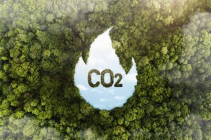 Imagem aérea de uma floresta com uma imagem no centro formando uma gota com a inscrição CO2, simbolizando a importância da conservação ambiental e combate ao aquecimento global e à pegada de carbono.