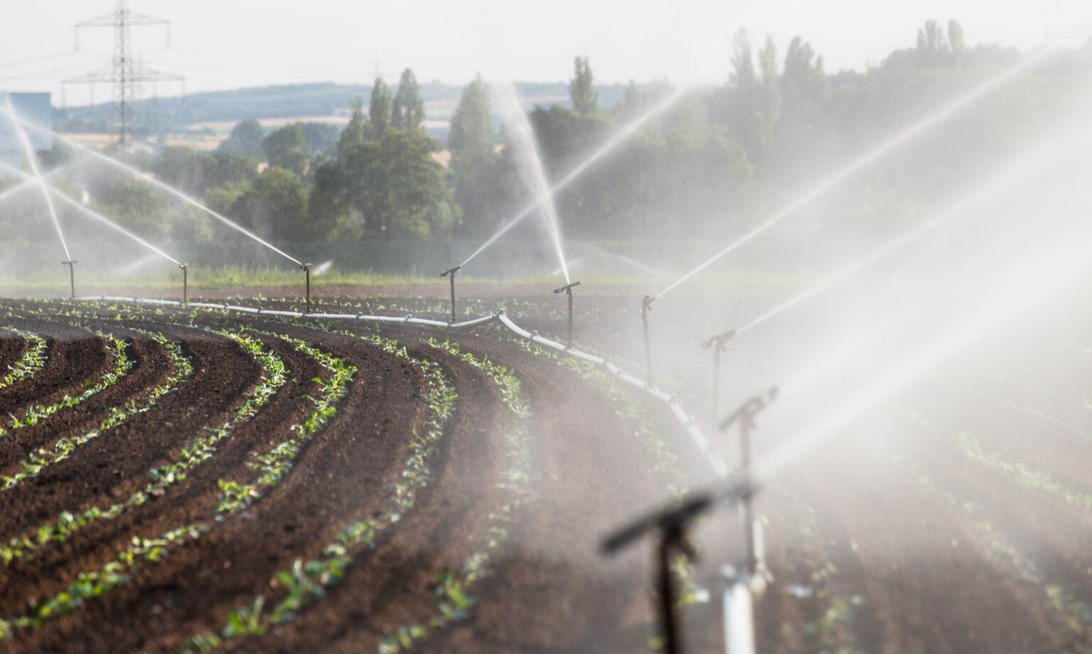 Sistema de irrigação por irrigantes envolvendo plantações agrícolas, promovendo irrigação eficiente e sustentável em campo rural.