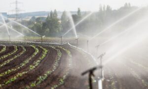 Sistema de irrigação por irrigantes envolvendo plantações agrícolas, promovendo irrigação eficiente e sustentável em campo rural.
