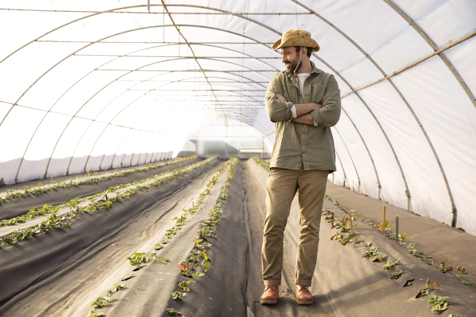 Homem trabalhando em um tipo de cultivo protegido, a estufa